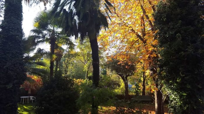 Tarde de otoño
